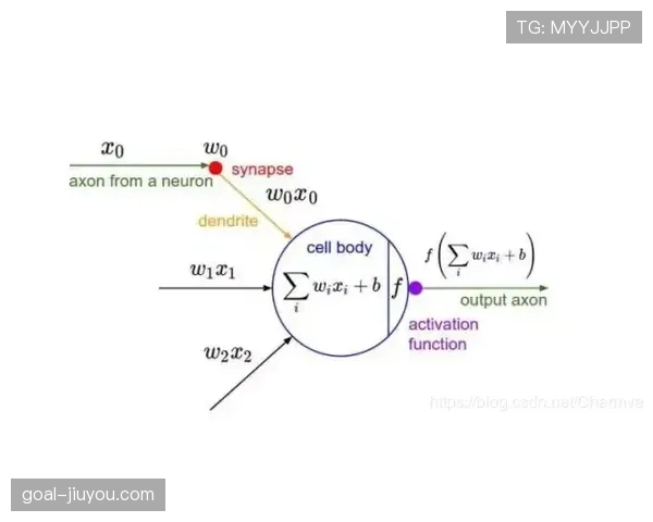 德容与罗德里控场机制与节奏构建的差异解析
