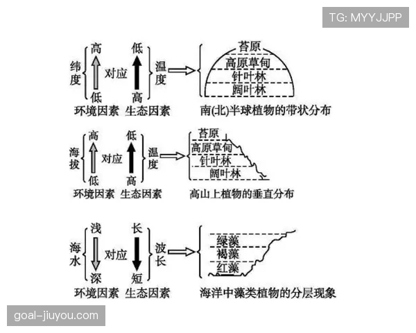 阿诺德与特里在边后卫职责上出现分散与体系分配差异